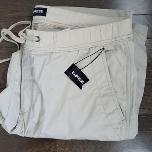 Men's 🍦NEW Express Large Cargo Pants